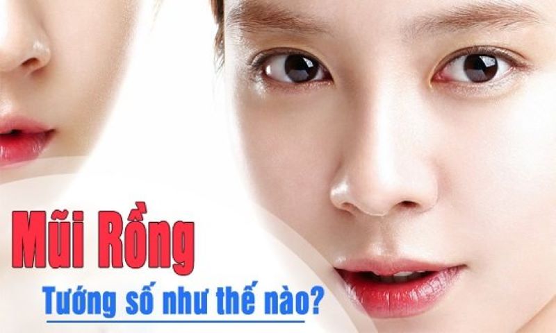 Ý nghĩa của mũi rồng trong nhân tướng học